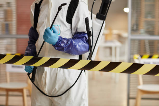 Professional Sewage Cleanup technician working in Creston, NE